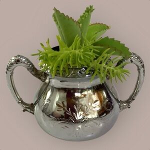 Homan Silver Planter With Live Succulents Mother Of Thousands & Sedum